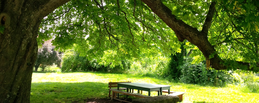 IMG_20230620_122440 Melanie Knopp