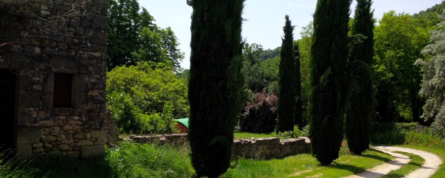 IMG_20230620_122603 Melanie Knopp