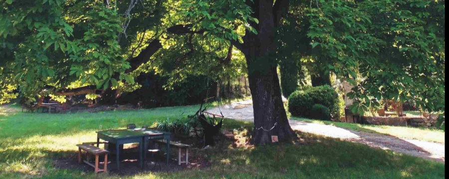 Kastanie Melanie Knopp